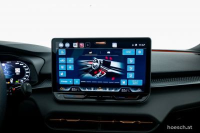 Cupra Terramar Gebrauchtwagen