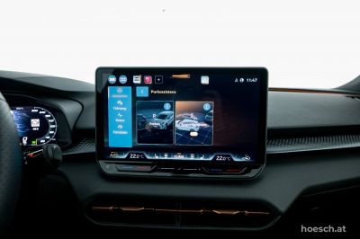 Cupra Terramar Gebrauchtwagen