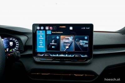 Cupra Terramar Gebrauchtwagen