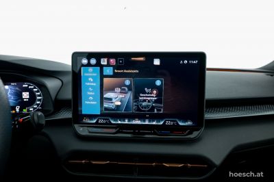 Cupra Terramar Gebrauchtwagen