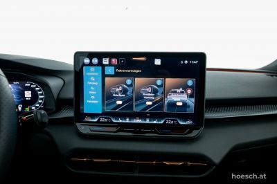 Cupra Terramar Gebrauchtwagen