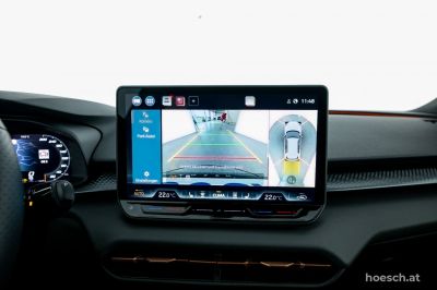 Cupra Terramar Gebrauchtwagen