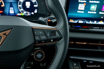 Cupra Terramar Gebrauchtwagen