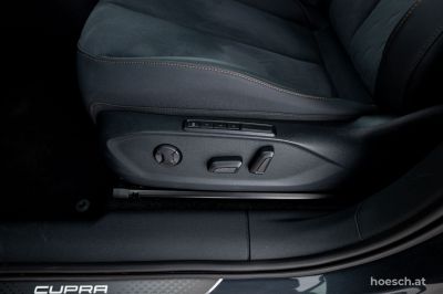 Cupra Terramar Gebrauchtwagen