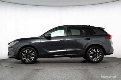 Cupra Terramar Gebrauchtwagen