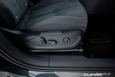 Cupra Terramar Gebrauchtwagen