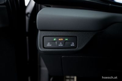 Cupra Terramar Gebrauchtwagen