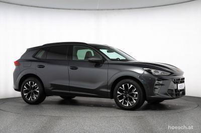 Cupra Terramar Gebrauchtwagen