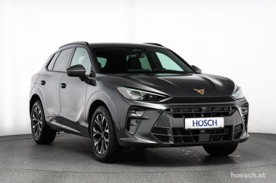 Cupra Terramar Gebrauchtwagen