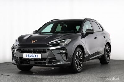 Cupra Terramar Gebrauchtwagen