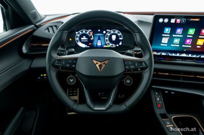 Cupra Terramar Gebrauchtwagen