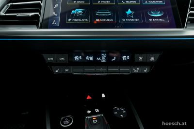 Audi Q4 e-tron Gebrauchtwagen