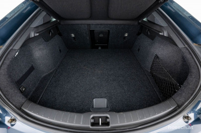 Polestar Polestar 2 Gebrauchtwagen