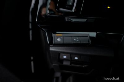 Renault Austral Gebrauchtwagen