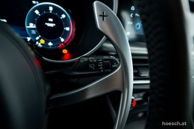 Alfa Romeo Stelvio Gebrauchtwagen