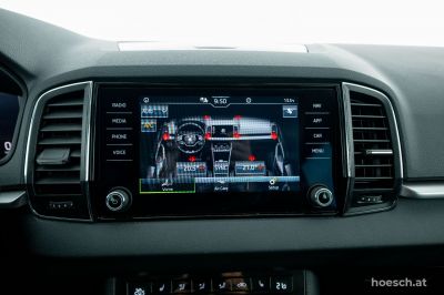 Skoda Karoq Gebrauchtwagen