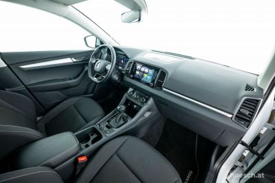 Skoda Karoq Gebrauchtwagen