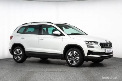 Skoda Karoq Gebrauchtwagen