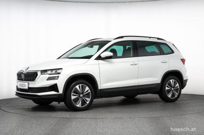 Skoda Karoq Gebrauchtwagen