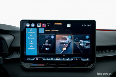 Cupra Terramar Gebrauchtwagen