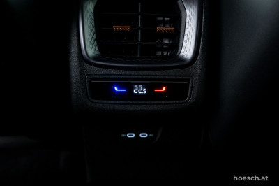 Cupra Terramar Gebrauchtwagen