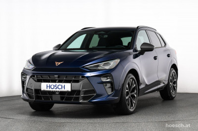 Cupra Terramar Gebrauchtwagen