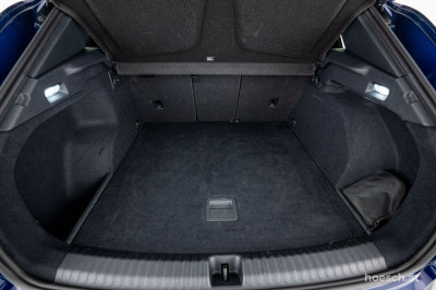 Cupra Terramar Gebrauchtwagen