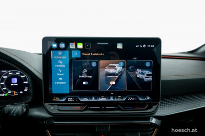 Cupra Formentor Gebrauchtwagen