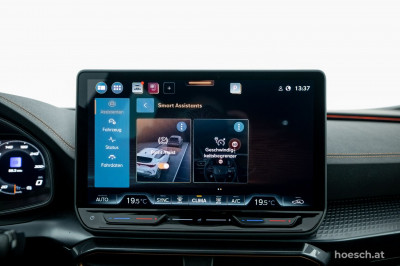 Cupra Formentor Gebrauchtwagen