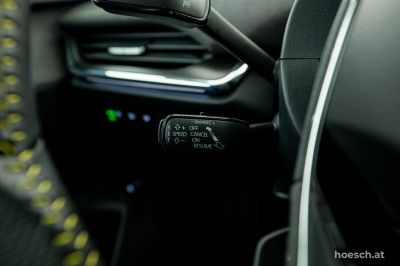 Skoda Enyaq Gebrauchtwagen