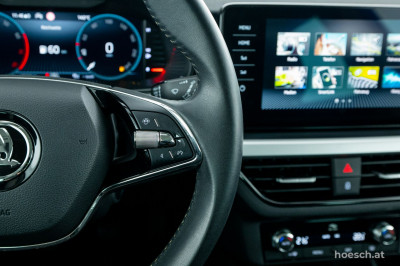 Skoda Kamiq Gebrauchtwagen