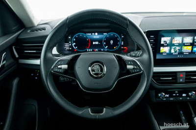 Skoda Kamiq Gebrauchtwagen