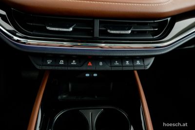 Skoda Enyaq Gebrauchtwagen