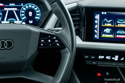 Audi Q4 e-tron Gebrauchtwagen