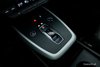 Audi Q4 e-tron Gebrauchtwagen