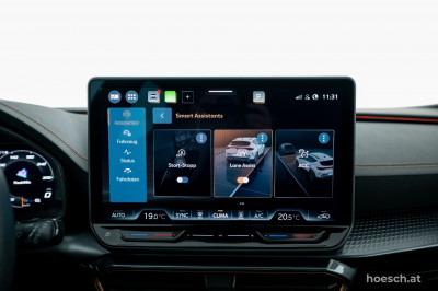 Cupra Formentor Gebrauchtwagen