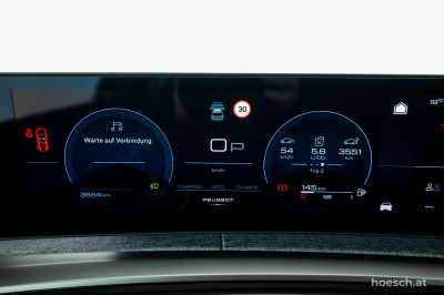 Peugeot 3008 Gebrauchtwagen Peugeot 3008 Gebrauchtwagen