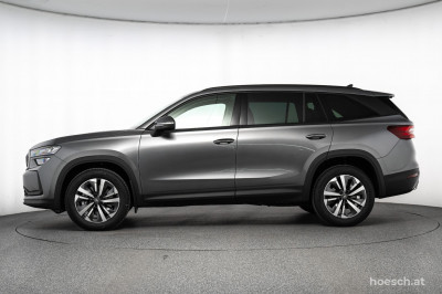 Skoda Kodiaq Gebrauchtwagen Skoda Kodiaq Gebrauchtwagen