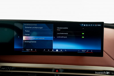 BMW iX Gebrauchtwagen BMW iX Gebrauchtwagen