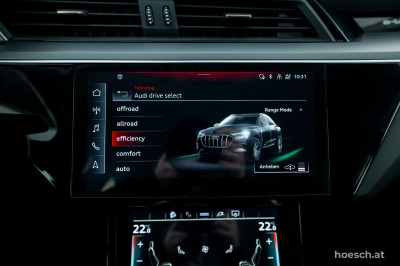 Audi e-tron Gebrauchtwagen