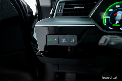 Audi e-tron Gebrauchtwagen