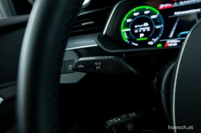 Audi e-tron Gebrauchtwagen