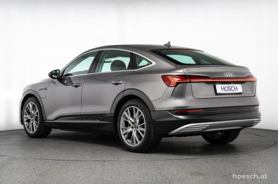 Audi e-tron Gebrauchtwagen