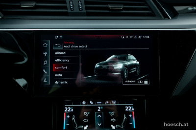 Audi e-tron Gebrauchtwagen