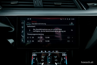 Audi e-tron Gebrauchtwagen