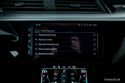 Audi e-tron Gebrauchtwagen