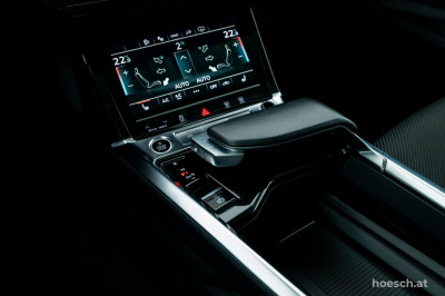 Audi e-tron Gebrauchtwagen