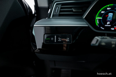 Audi e-tron Gebrauchtwagen
