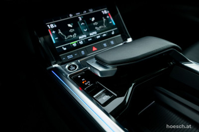 Audi e-tron Gebrauchtwagen