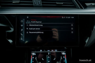Audi e-tron Gebrauchtwagen